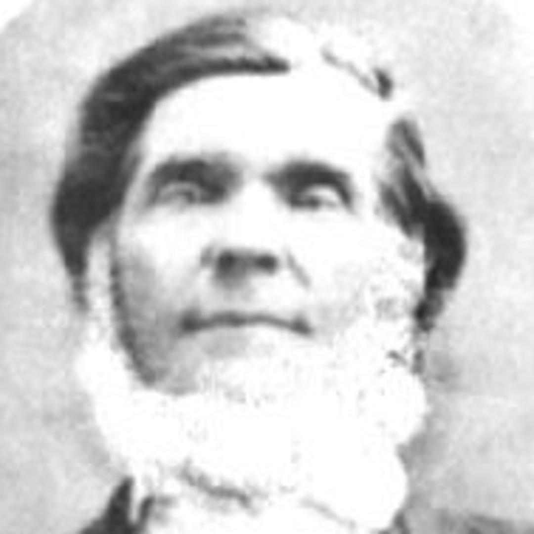 Daniel Cox (1802 - 1858) Profile
